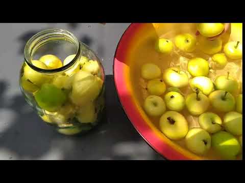 Видео: Квашені (мочені) яблука                            fermented apples
