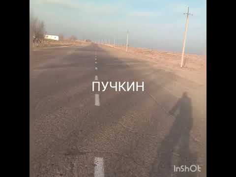 Видео: кожатоп пушкин шуркул