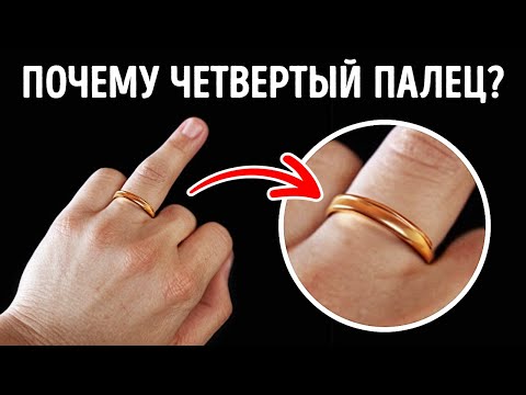Видео: 99 фактов, которые ответят на все ваши вопросы "Почему??"