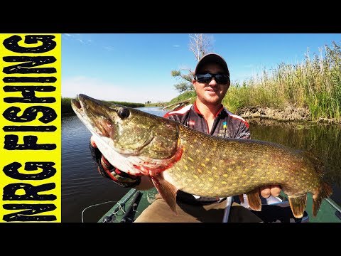 Видео: Рыбалка с НОЧЁВКОЙ НА ЩУКУ | УХА | КОСТЁР