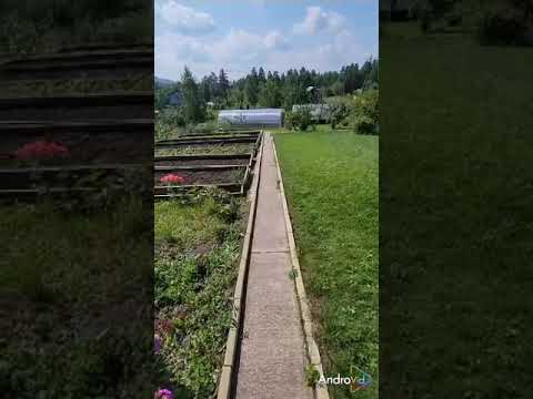 Видео: Продается дача г. Железногорск СНТ16 улица 4