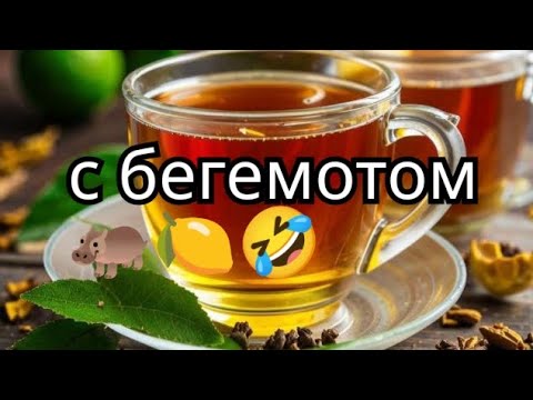 Видео: Выбираем самый вкусный чай с бергамотом