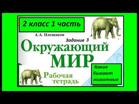 Видео: Какие бывают животные 3 задание. Окружающий мир 2 класс рабочая тетрадь. Главные признаки