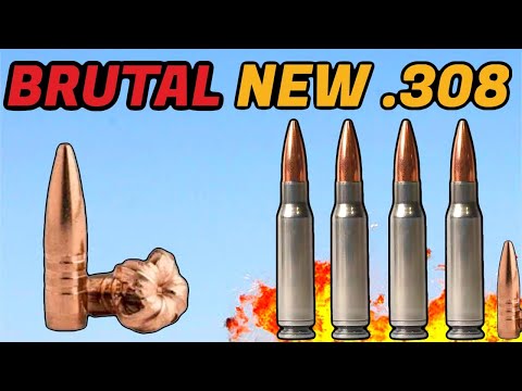 Видео: Силы специального назначения США проводят испытания — Shell Shock .308