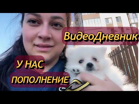 Видео: ВЛОГ/Вернулись из отпуска НЕ ОДНИ!