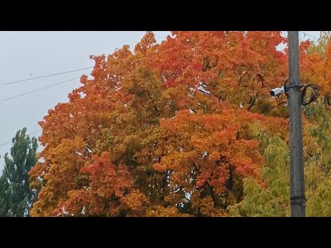 Видео: #мойдень #уборка завтрака убираем в шкафу  сидим на уроках