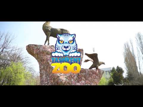 Видео: Toshkent zoopark | tashkent zoo | ташкентский зоопарк