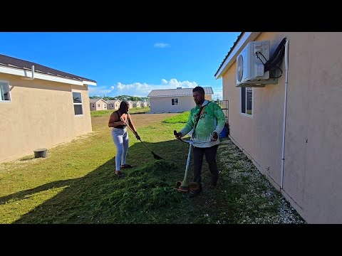 Видео: СТРИЖЕМ ТРАВУ НА НАШЕМ AIRBNB С ПОМОЩЬЮ НАШЕГО НОВОГО ГАЗОНОКОСИЛИТЕЛЯ #jamaica#airbnb