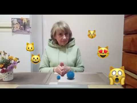 Видео: Нейрогра ,, Грайливі котики''. Старший дошкільний вік.