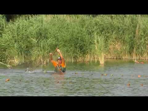 Видео: ВВ Невод