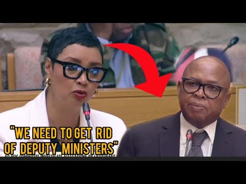 Видео: Депутат парламента ЮАР критикует Матале за неопубликованную просроченную статистику преступлений ...