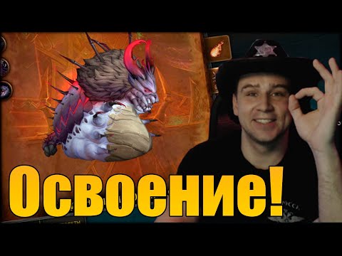 Видео: Неруб'арский дворец ЭПОХАЛЬНЫЙ в World of Warcraft The War Within!