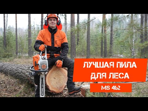 Видео: Лучшая пила для леса STIHL MS 462