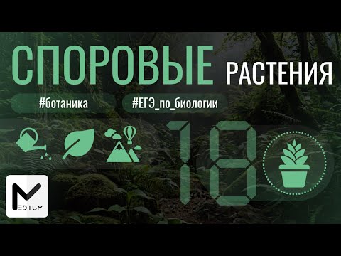 Видео: Споровые растения для ЕГЭ ПО БИОЛОГИИ / MEDIUM биология