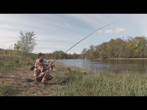 Видео: Поставил живца на фидер!И был в шоке!