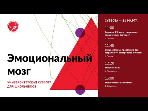 Видео: Эмоциональный мозг