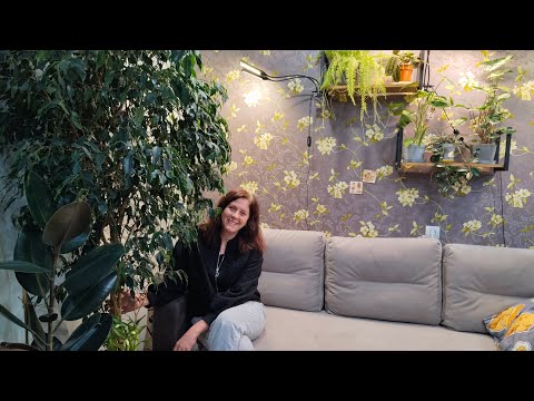 Видео: Обзор Комнатных Растений в Квартире от 28.08.25🌺🍀🪴🌵🍀