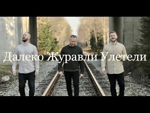 Видео: Далеко журавли улетели