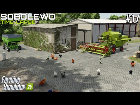Видео: Уборка длиннозёрного риса и пересадка курятника | Sobolewo | Farming Simulator 25 | Эпизод 17
