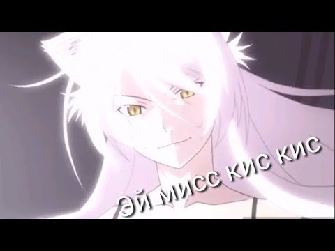 Видео: Аниме клип ~Эй мисс кис кис~