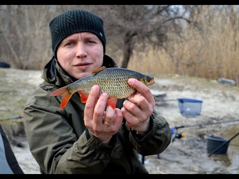 Видео: Ловля плотвы. Открытие сезона