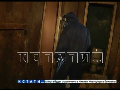 Видео: Квартиру ужасов приводят в порядок в Нижегородском районе