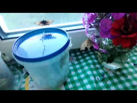 Видео: Изменение!