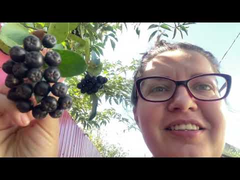 Видео: Соло выходные на даче