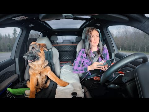 Видео: Путешествие с СОБАКОЙ 2200 км на BMW X5M.Знакомлю с родителями, первый раз на речку.