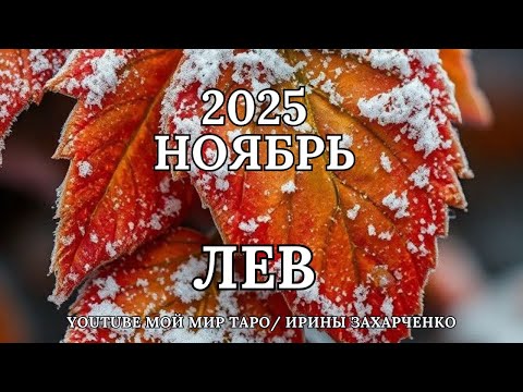 Видео: ЛЕВ ♌🍂НОЯБРЬ 2025 🍁Таро прогноз для Львов/Tarot Forecast for Leo.