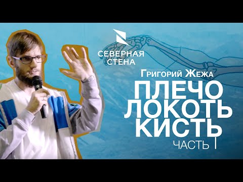 Видео: Лекция врача ЛФК и спортивной медицины Григория Жежи на скалодроме Северная стена.