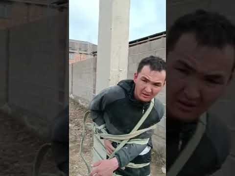 Видео: уурулук кылганбы ? же жөн эле кармап байлап койгонбу ?