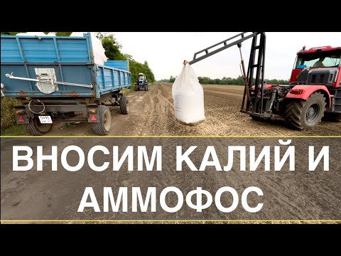 Видео: ВНОСИМ КАЛИЙ И АММОФОС | ОСМОТР ПОЛЕЙ | Поломка в пути