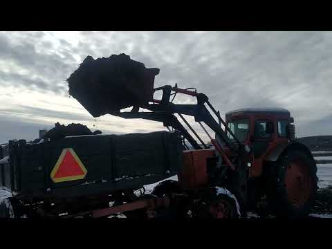 Видео: т40 погрузка куном.