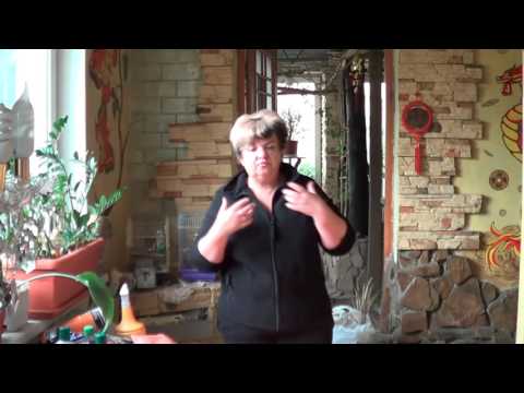 Видео: Что Нужно Знать О Почве Для Комнатных Цветов. Как Избежать Перезаливов?