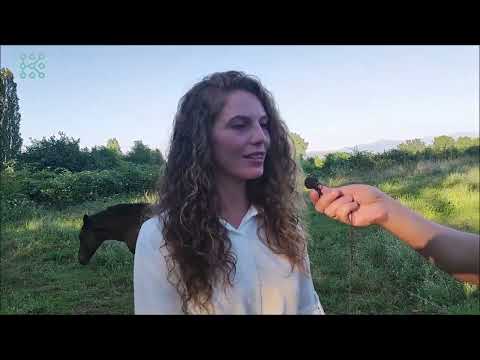 Видео: Битолска Коњаница -  Галоп по врвиците на Илинденците (ВИДЕО)