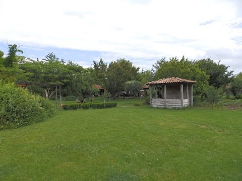 Видео: Донко Марков- Даньова мама