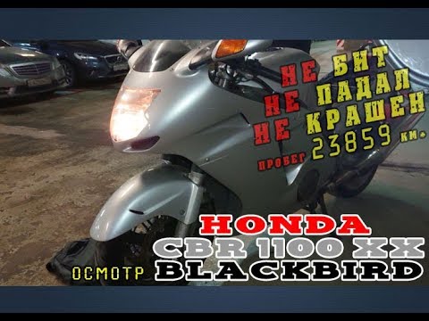 Видео: [Осмотр] Honda CBR 1100 XX Blackbird 1997г.