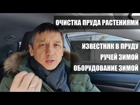 Видео: БИОПЛАТО. Очистка пруда растениями. Известняк в пруду - можно или нет? Ручей зимой.