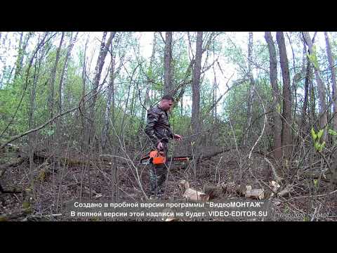 Видео: Рыбалка с ночевкой в Тульской области