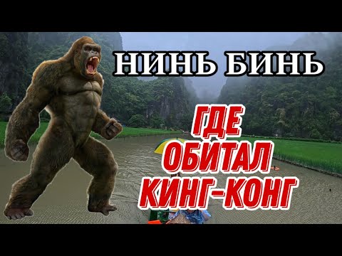 Видео: НИНЬ БИНЬ / СЕВЕРНЫЙ ВЬЕТНАМ / ТАМ ГДЕ ЖИЛ КИНГ-КОНГ/ ДЕРЕВНЯ ТАМ COC / ПИК MUA / ПЕЩЕРЫ И ХРАМЫ