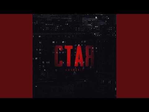 Видео: Стая