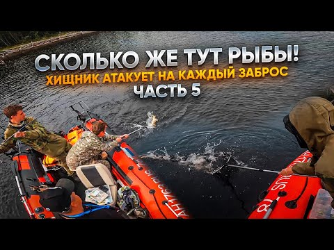 Видео: УБИЛИ ДВА МОТОРА НА ГЛУБИНЕ//МЕЧТА РЫБАКА//РЫБА НА КАЖДЫЙ ЗАБРОС//ЧАСТЬ 5