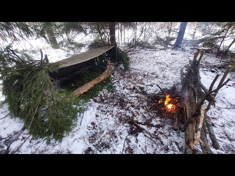 Видео: Укрытие из плащ палатки. Постой Bushcraft