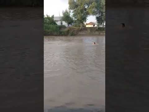 Видео: хожели хатеп разезд(2)