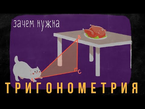 Видео: ЗАЧЕМ НУЖНА ЭТА ... тригонометрия! Математика на QWERTY
