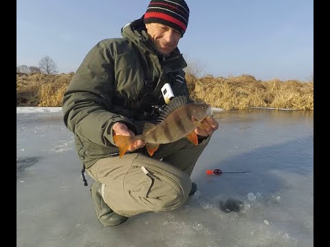 Видео: Прекраснейшая Зимова рибалка на річці, по останньому льоді.❄️ Кльов гарного ОКУНЯ на безмотилку.🐳🐳🐳
