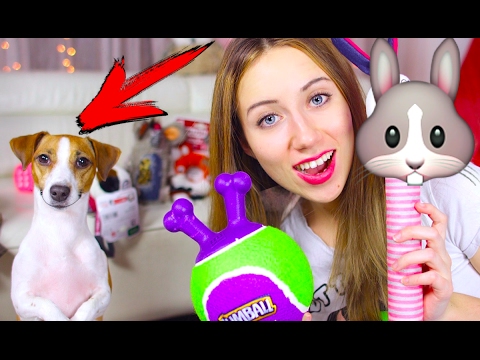 Видео: СОБАКА И КРОЛИК ОБЗОР ИГРУШЕК ПОКУПКИ ИЗ ЗООМАГАЗИНА | Elli Di Pets