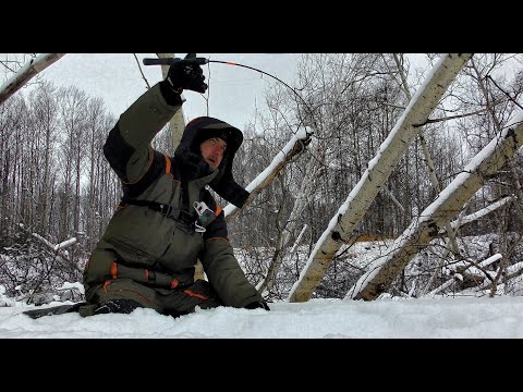 Видео: ЛЕСКИ ТРЕЩАТ!! ЭТОТ КОРЯЖНИК ИСКАЛ ВСЮ ЗИМУ!!Рыбалка на Оби, щука на балансир.