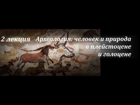 Видео: № 2. Заселение человеком Америки. С.А. Васильев. (ИИМК РАН)